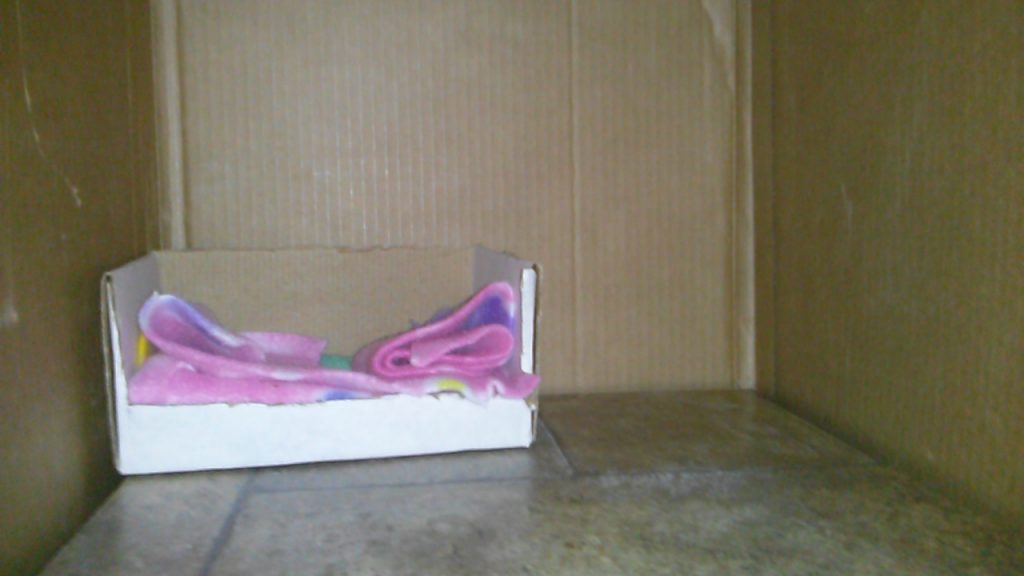 wpid-cam04503.jpg