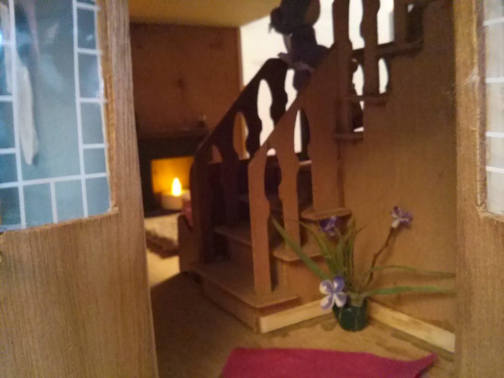 CAM11479