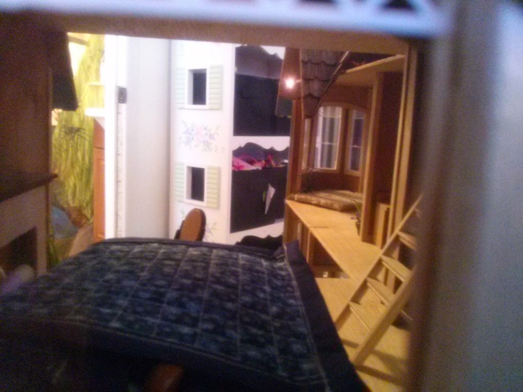 CAM11482