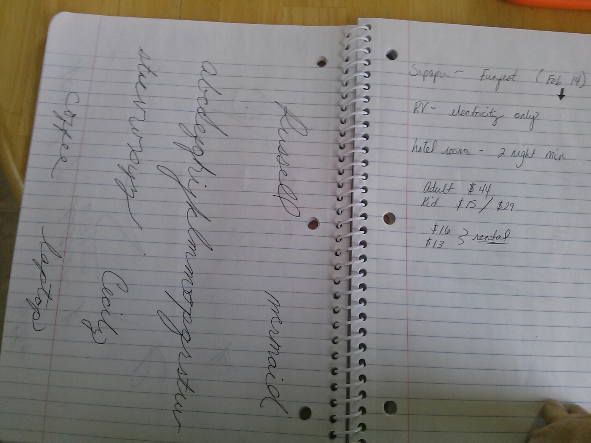 CAM12034.jpg image